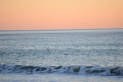 DSC_1289 (Large).JPG